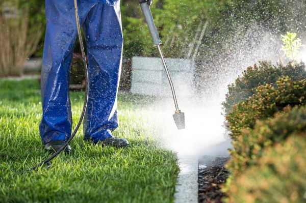 Cost of Curb Cleaning in Endicott