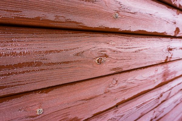 Cost of Cedar Siding Cleaning in Endicott