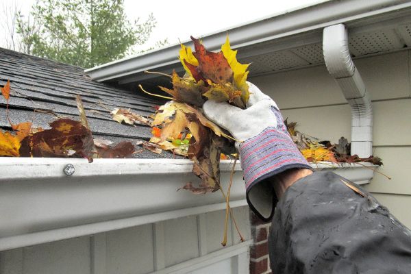 Cost of Eaves Cleaning in Endicott
