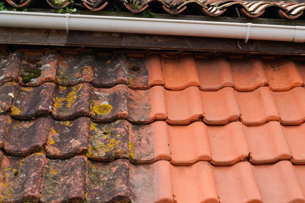 Industrial Roof Cleaning in Endicott